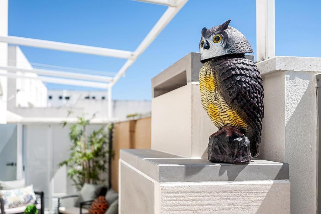 Casa Terraza Διαμέρισμα Conil De La Frontera Εξωτερικό φωτογραφία